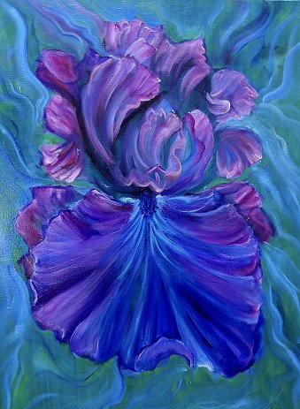 Blue Iris