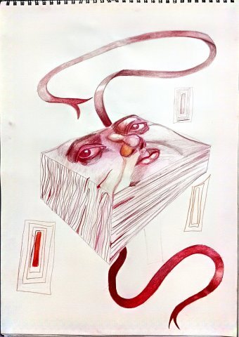 Graphique "Je me suis sculpté dans une boîte", illustrateur Jayn Potter crayon papier à la Jose Art Gallery