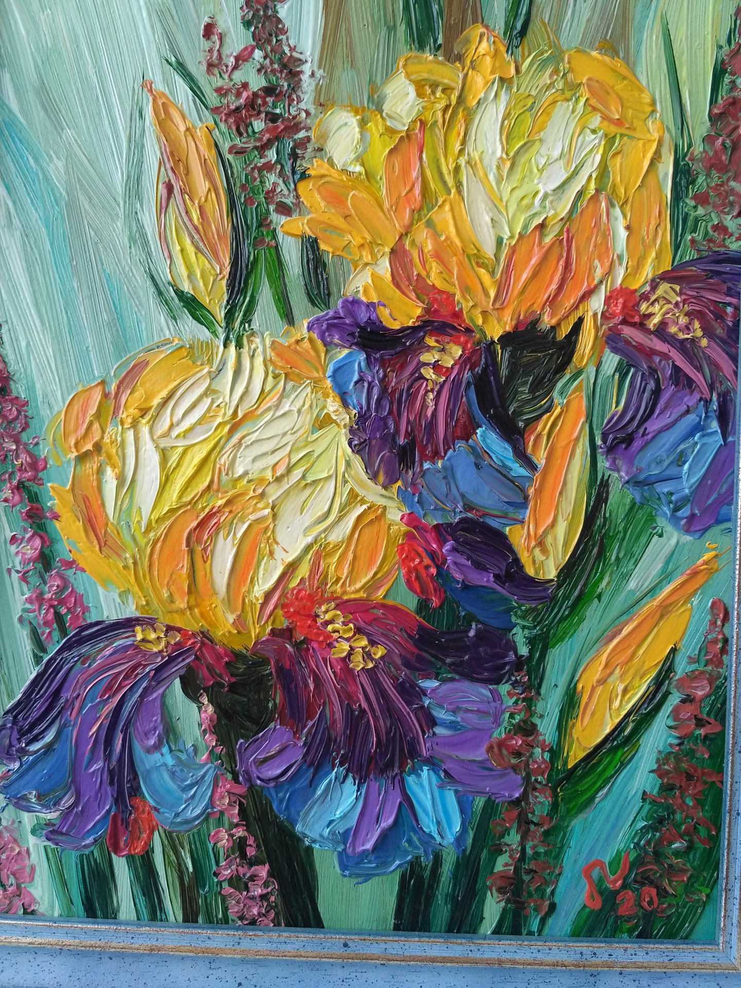 Yellow irises - buy