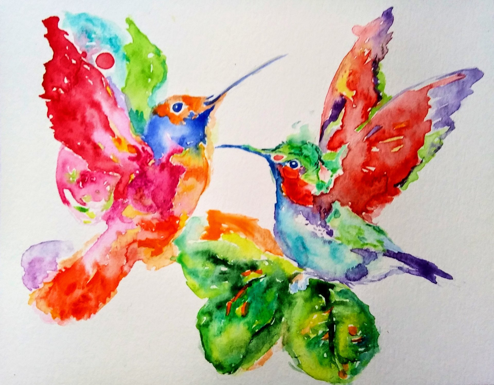 Colorful birds - buy