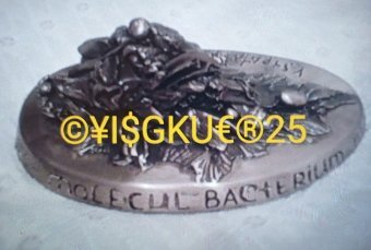 Rzeźba "25 FIRST MOLEKUL BAKTERIUM E", rzeźbiarz Yaroslav Stratyy Brąz w Jose Art Gallery