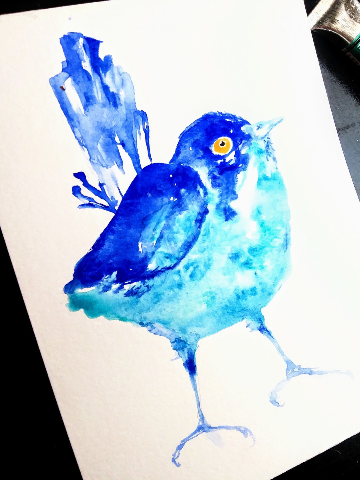 Blue bird. Nature - buy