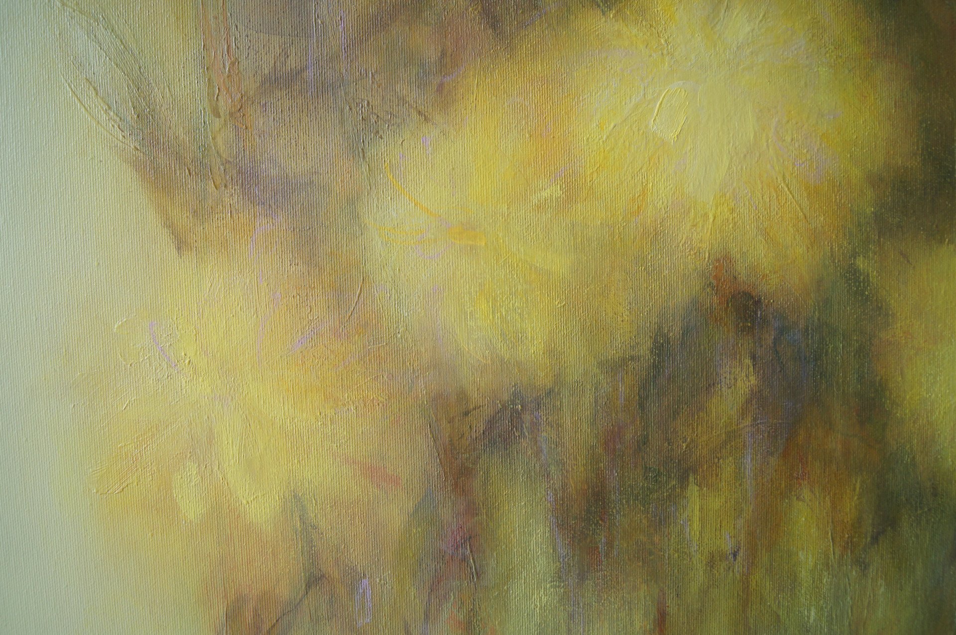 Yellow flowers - buy