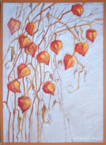 Drawing "Physalis" by illustrator Guseva K. pastel paper at Jose Art Gallery