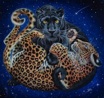 Make a Wish on a Falling Star