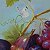 Summer Day. Photorealistic Fruit Elegance – painting