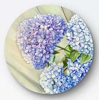 The tenderness of hydrangea in blue tones