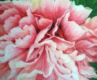 Painting "Peony. Harmony and perfection in nature." by painter Laura Antonia Maria Bazzero oil canvas at Jose Art Gallery