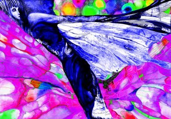 La gioia di avere la libertà