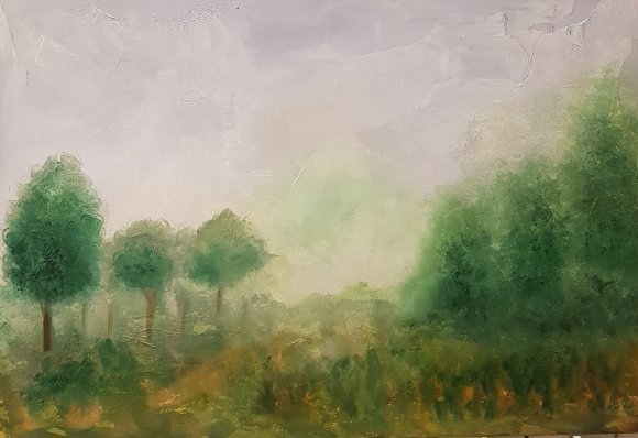 Winter Fog Forest Landscape