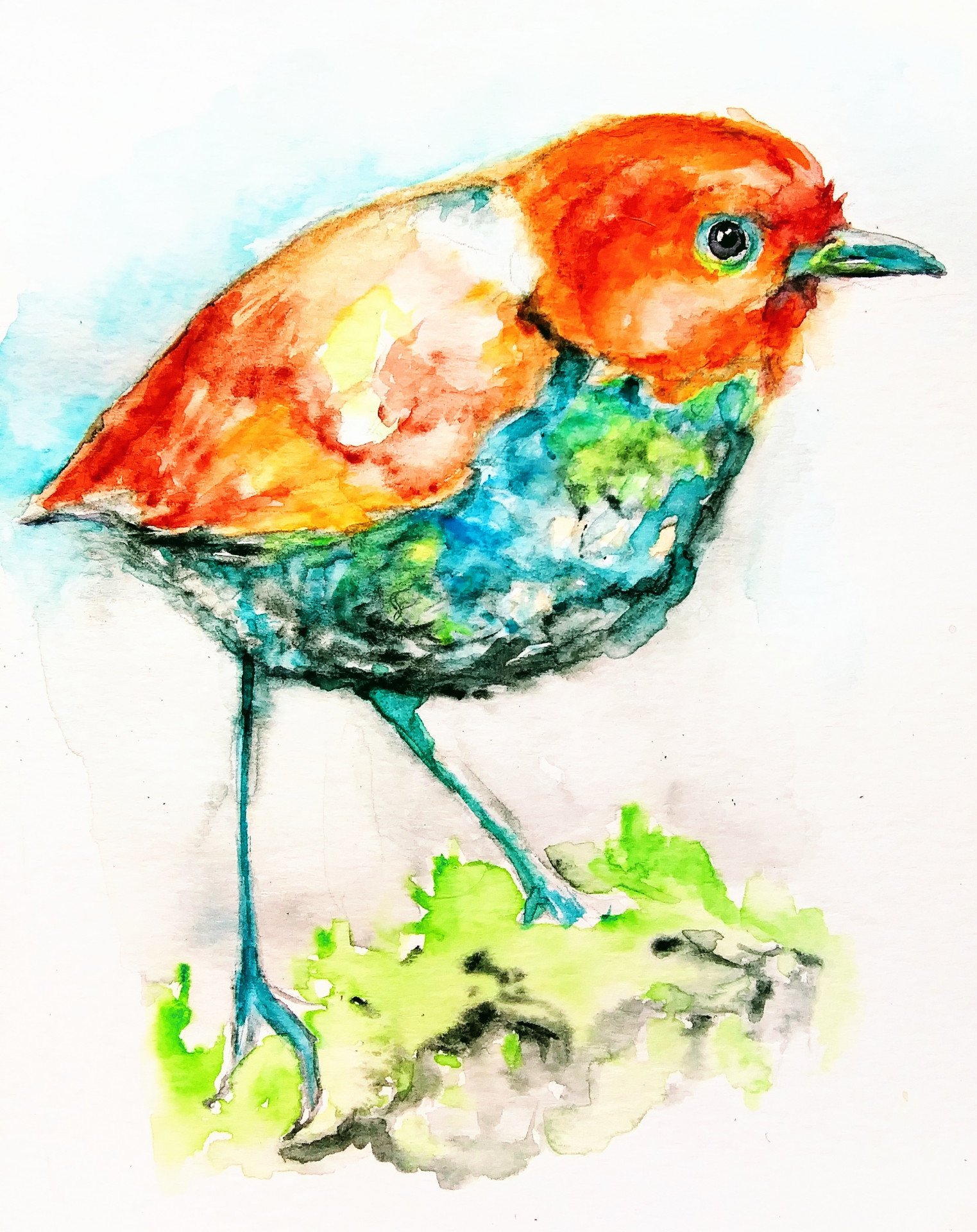 Bird. Colorful nature - painting