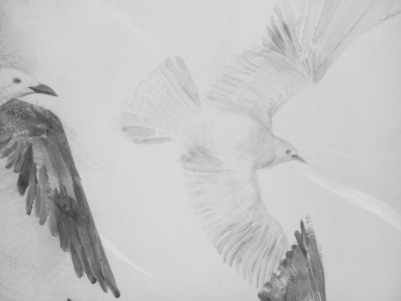 Additional view 7: Figurative Portrait Drawing In the Cage by illustrator Lana Korolievskaia ink cardboard 