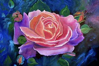 Pink Gala Rose