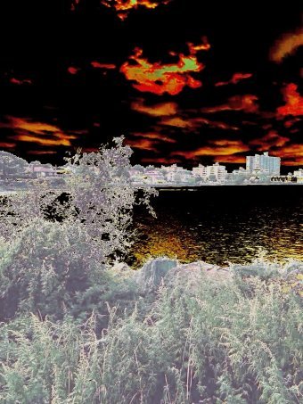 Photographie "Un pique-nique dans l'obscurité", photographe Amanda Harris à la Jose Art Gallery