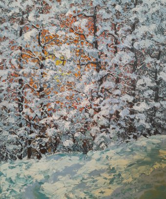 Winter sunset in the forest