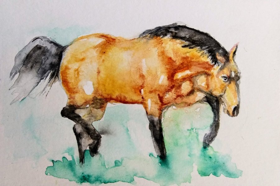 Additional view 1: Figurative Animal Painting Buckskin horse by painter Daniela Vasileva watercolor paper 
