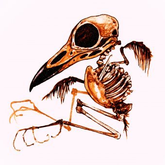 Fotografia "Sztuka retro i fotografia", fotograf Sergio Luiz Cerezer Benetti Sergio w Jose Art Gallery