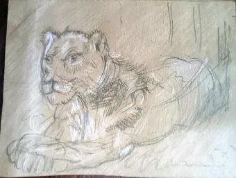 Drawing "The King's Wait: A Glimpse of Wisdom" by illustrator roberto ferrando pencil paper at Jose Art Gallery