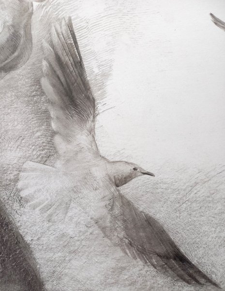 Additional view 3: Figurative Portrait Drawing Getting Used to Wings by illustrator Lana Korolievskaia ink cardboard 
