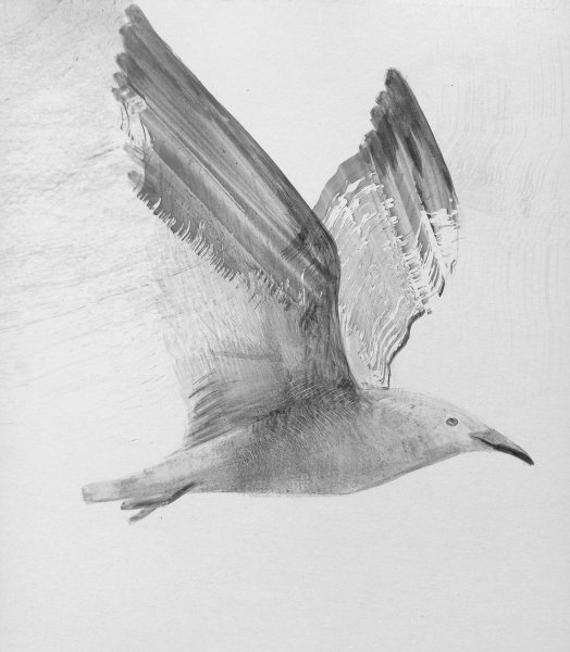 Additional view 5: Figurative Portrait Drawing Getting Used to Wings by illustrator Lana Korolievskaia ink cardboard 