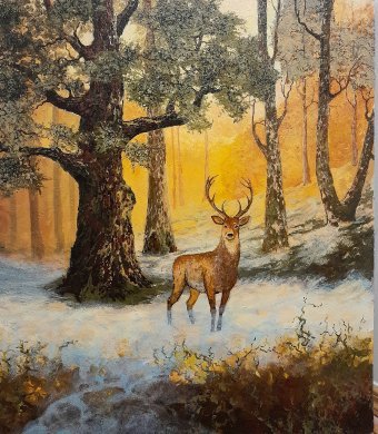 Matin brumeux dans la forêt