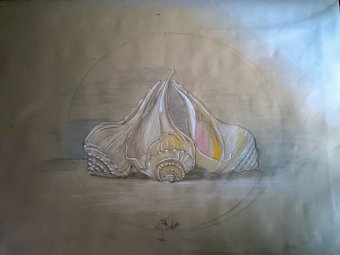 Drawing "Triton Trilogy. Marine Fine Arts" by illustrator roberto ferrando pencil paper at Jose Art Gallery