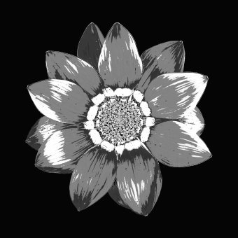 Digital Art "Geometric Nature" by digital artist Sergio Luiz Cerezer Benetti Sergio at Jose Art Gallery