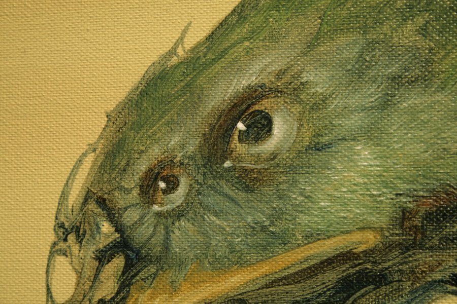 Additional view 3: Surrealism Animal Painting Defying Gravity by painter Ed Schaap oil canvas 