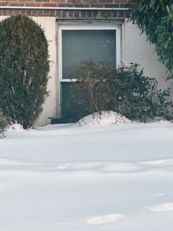 Fotografia "Drzwi nie są otwarte", fotograf Amanda Harris w Jose Art Gallery