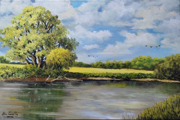 Illuminated Haven: Nature's Quiet Moment