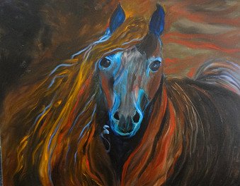 Wild Horse 11