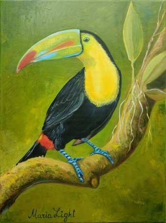 Pittura "Tucano", pittore Maria Light olio tela alla Jose Art Gallery