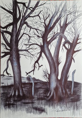 Drawing "Tree: An intimate sketch of nature" by illustrator bernardino pen paper at Jose Art Gallery