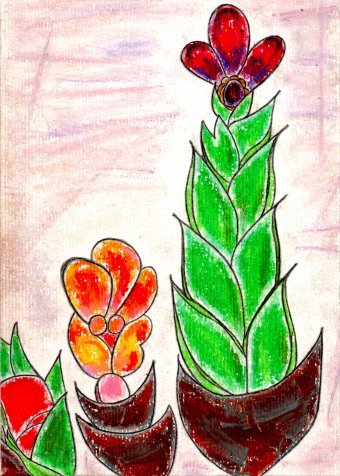 Malarstwo "Doniczki bromeliadowe", malarz JackMichel pastel papier w Jose Art Gallery