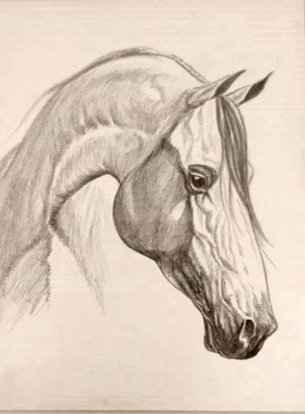 Drawing "Threads in the wind" by illustrator leonardo reina pencil paper at Jose Art Gallery