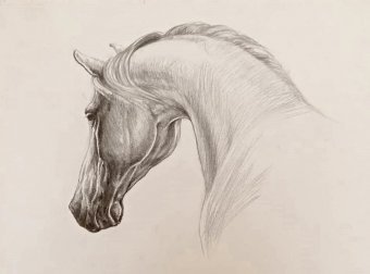 Drawing "Threads in the wind" by illustrator leonardo reina pencil paper at Jose Art Gallery