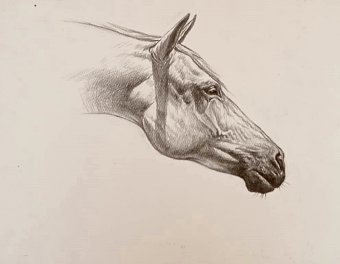 Drawing "Thread of the wind" by illustrator leonardo reina pencil paper at Jose Art Gallery