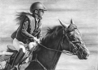 Drawing "Speed and Power: Dynamic Equestrian Portrait" by illustrator Vladimir Sumarokov charcoal paper at Jose Art Gallery