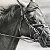 Speed and Power: Dynamic Equestrian Portrait – buy