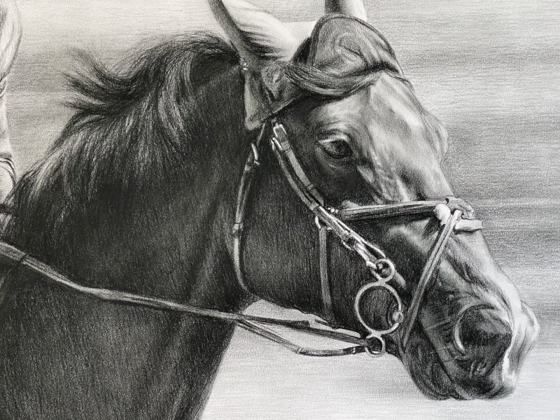 Additional view 1: Realism Portrait Drawing Speed and Power: Dynamic Equestrian Portrait by illustrator Vladimir Sumarokov charcoal paper 