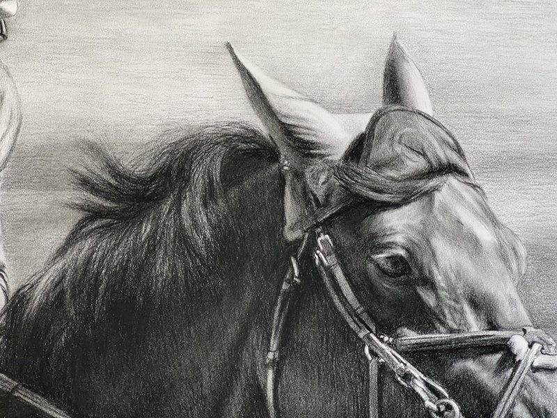 Additional view 7: Realism Portrait Drawing Speed and Power: Dynamic Equestrian Portrait by illustrator Vladimir Sumarokov charcoal paper 