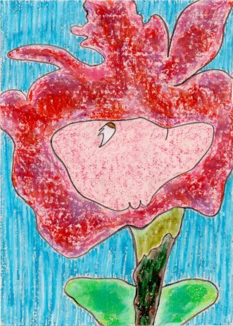 Malarstwo "Flor Leonor", malarz JackMichel pastel papier w Jose Art Gallery