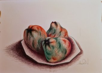 Drawing "Menbrillos" by illustrator bernardino pen paper at Jose Art Gallery