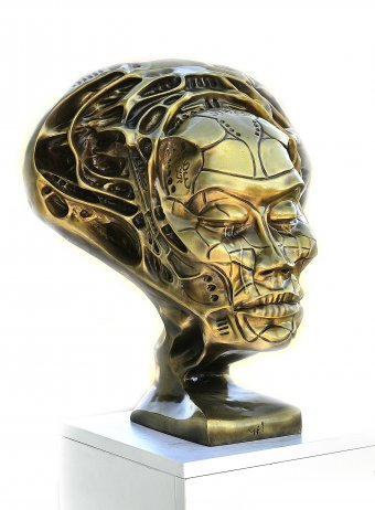 Sculpture "NF1" by sculptor Krzysztof Plonka Bronze at Jose Art Gallery