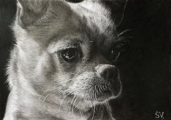 My Friend Named Peach: Emotional Charcoal Portrait