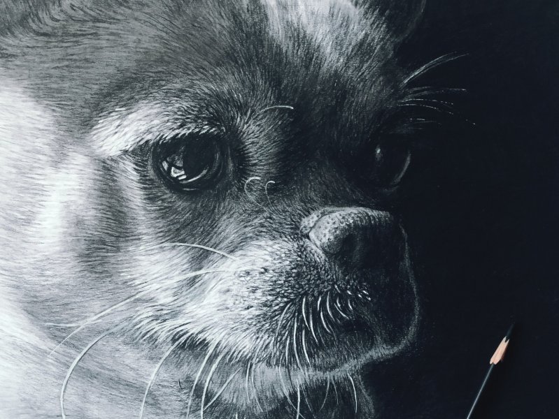 My Friend Named Peach: Emotional Charcoal Portrait Drawing - Vladimir ...