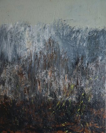 Painting "Protesting earth" by painter Geert Lemmers acrylic canvas at Jose Art Gallery