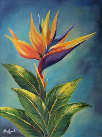 Bird of Paradise Bloom: Tropical Vibrancy