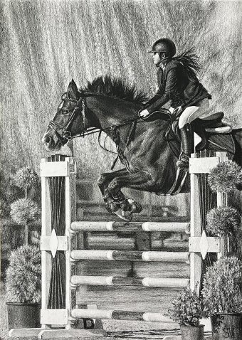 Dynamic Equine Show Jumping Competition
