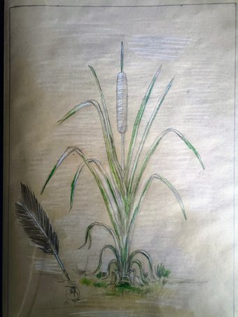 Drawing "Golden Whisper: The Dream of the Light Feather" by illustrator roberto ferrando pencil paper at Jose Art Gallery